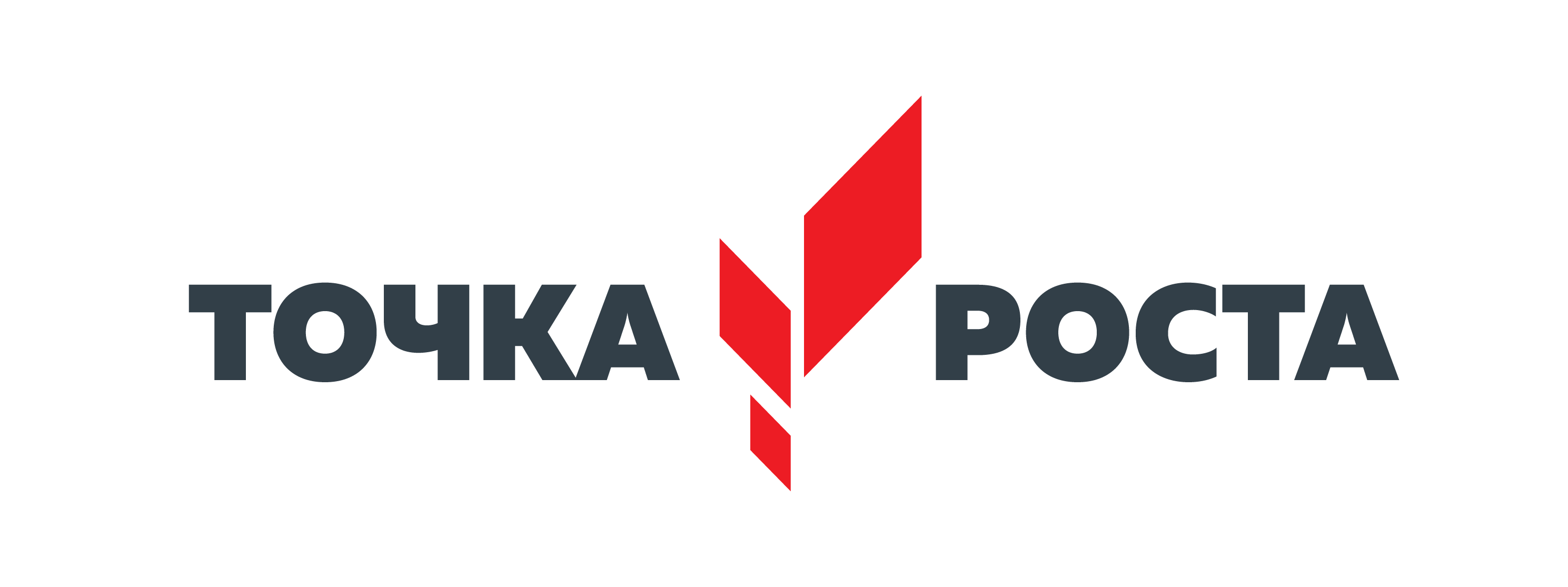 Точка роста фирменный знак